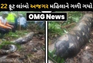 A 22 feet long python swallowed the woman