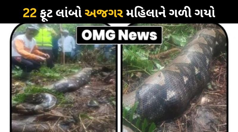 A 22 feet long python swallowed the woman