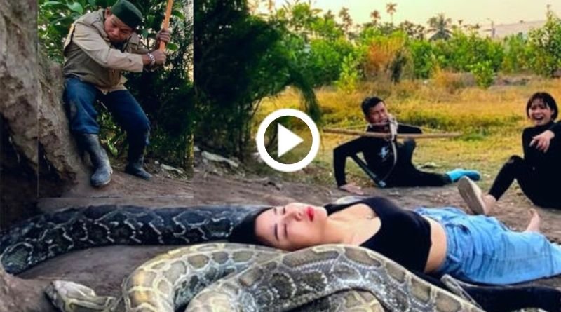 A 47 meter long snake collapsed on the man