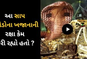 A giant snake guarding the treasure in the world's richest temple worth crores