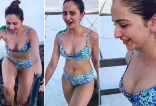 Rakulpreet Singh took a dip in minus 15 degree ice water wearing a bikini