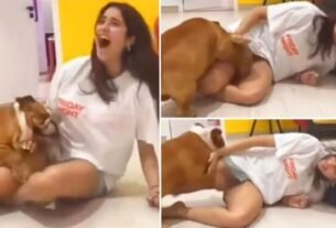 Seeing Janhvi Kapoor in short shorts her doggy got into a mood