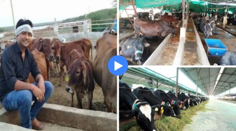 This young man started animal husbandry business in the village