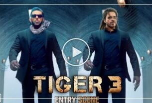 Tiger 3 scene leaked