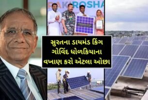 Diamond Company will install solar panels on the houses of 750 martyr families