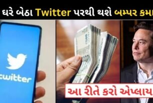 Now bumper earnings can be made from Twitter at home
