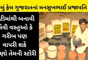 10th Fell Mansukhbhai Prajapati of Gujarat made things like gold from clay