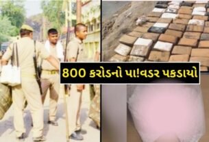 Cocaine Worth Rs 800 Crore Recovered From This District Of Gujarat