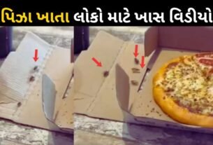 Germs emerge from the pizza boxes of Ahmedabad-based pizza brand La Pino's