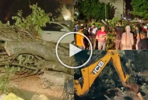 Husband and wife died after tree fell on Activa