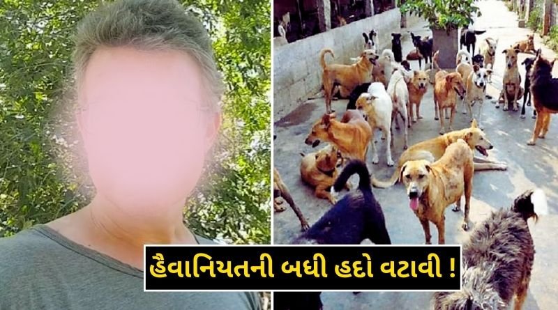 This famous person traveled to Iluilu with 42 dogs