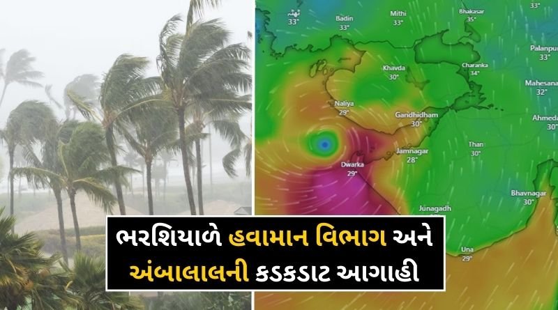 Meteorological department and Ambalal Patel's severe forecast in winter