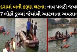 27 people drown in river after boat capsizes in Vadodara