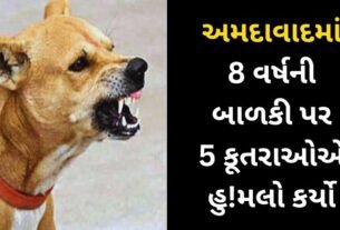 An 8-year-old girl was mauled by 5 dogs in Ahmedabad