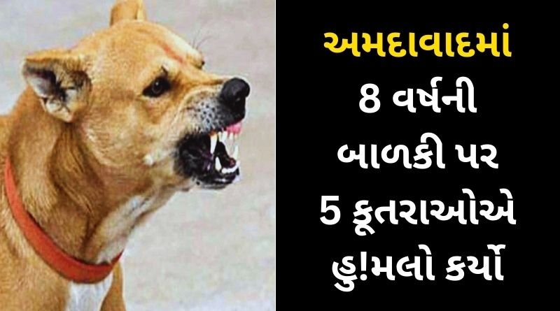 An 8-year-old girl was mauled by 5 dogs in Ahmedabad