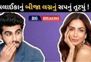 Arjun Kapoor has confirmed his and Malaika Arora's breakup