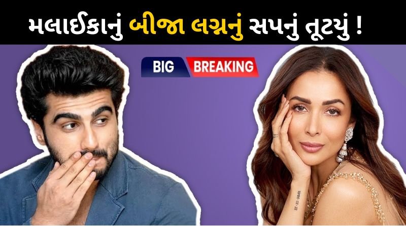 Arjun Kapoor has confirmed his and Malaika Arora's breakup