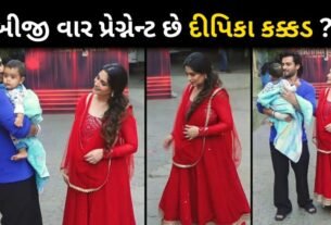 Is Dipika Kakar Pregnant Second Time? Actress Spotted With Shoaib Ibrahim and Son