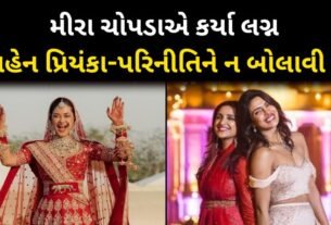 Priyanka- Parineeti's Sister Meera Chopra Marries Rakshit Kejriwal