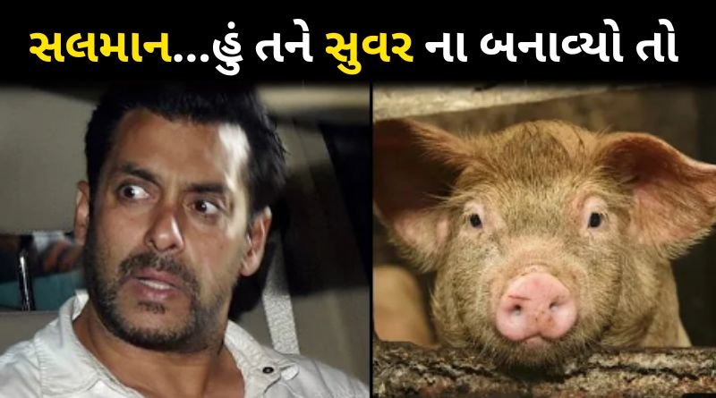 Salman Khan Attacked By KRK And He Gives Warning To Vows Make Him 'Suffer Like Pig'