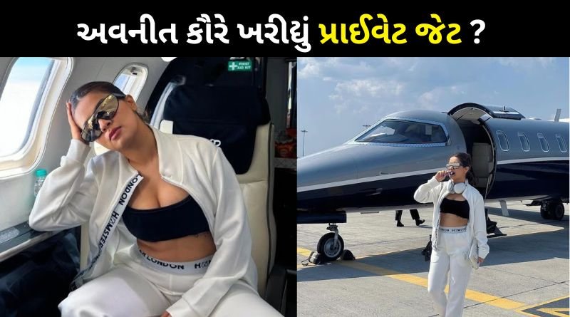 Avneet Kaur bought a private jet at the age of 22