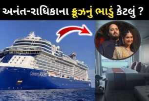 Holiday package of the cruise on which Mukesh Ambani is partying