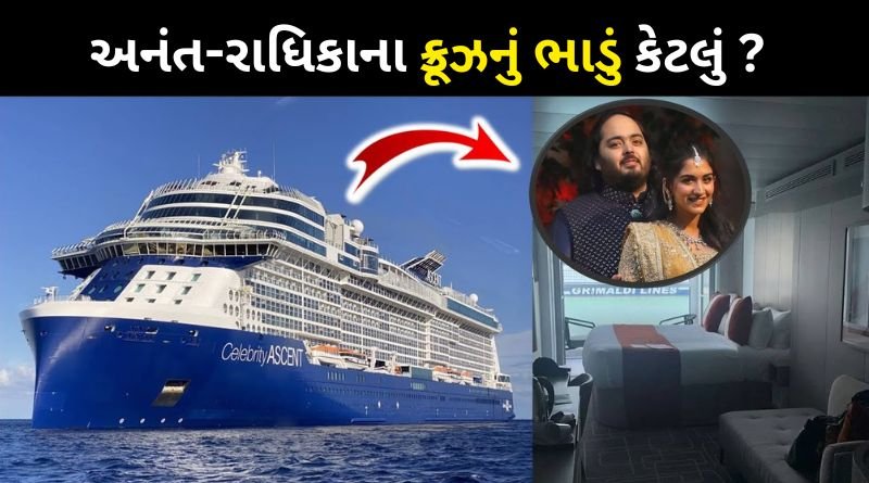 Holiday package of the cruise on which Mukesh Ambani is partying
