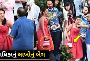 Radhika Merchant Most Expensive Dress And Bag