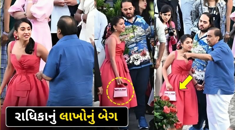 Radhika Merchant Most Expensive Dress And Bag