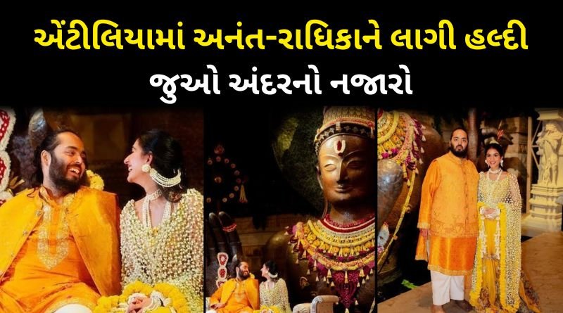 Anant-Radhika's Haldi Ceremony Inside Video