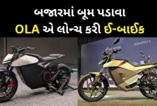 OLA launched electric bike 'Roadster' series